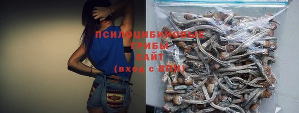 гидра Киреевск