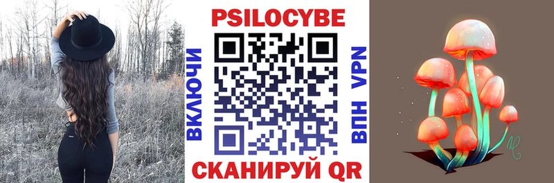 Купить  Вичуга  Галлюциногенные грибы Psilocybe 